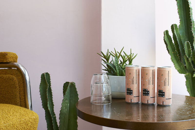 大老板棕櫚椰汁蘇打水品牌形象設計策劃和產品包裝設計