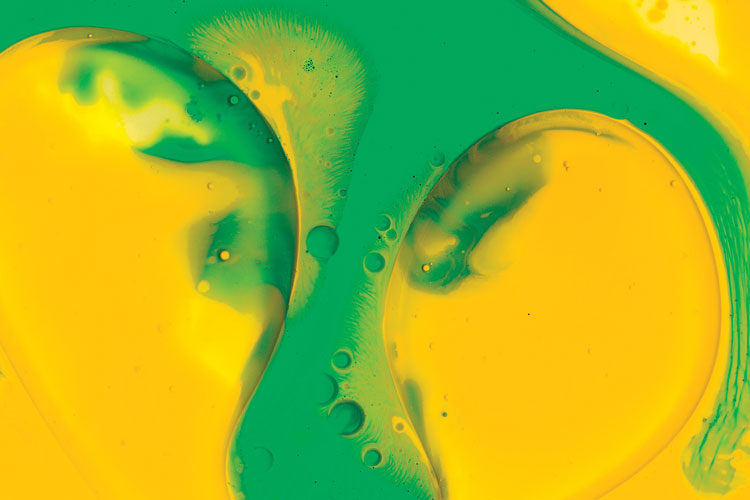 聯邦啤酒產品包裝設計，絢麗多彩