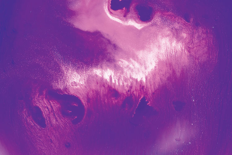 聯邦啤酒產品包裝設計，絢麗多彩