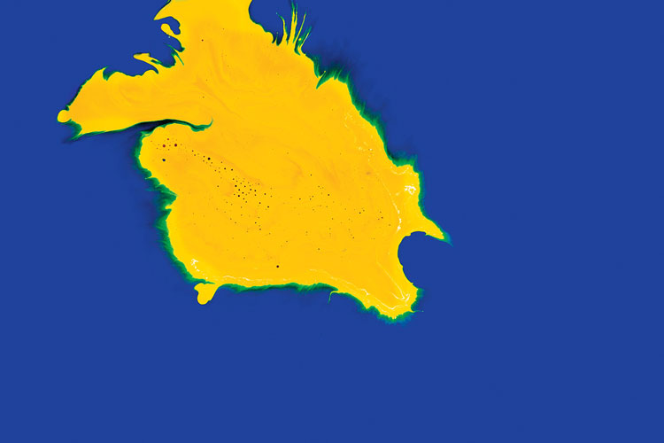 聯邦啤酒產品包裝設計，絢麗多彩